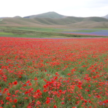 piana_di_castelluccio_1